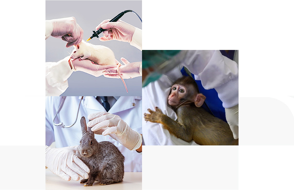 Laboratory Animals