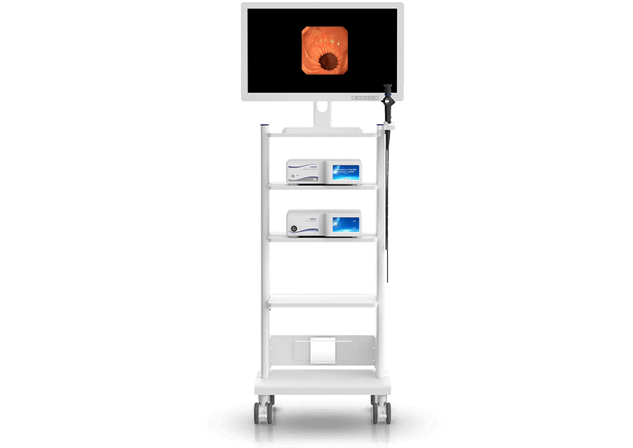 Veterinary Gastroscopy System